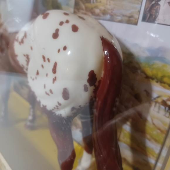 Breyer Collector's Club Appreciation Glossy Ideal Appaloosa - Picture 6 of 14